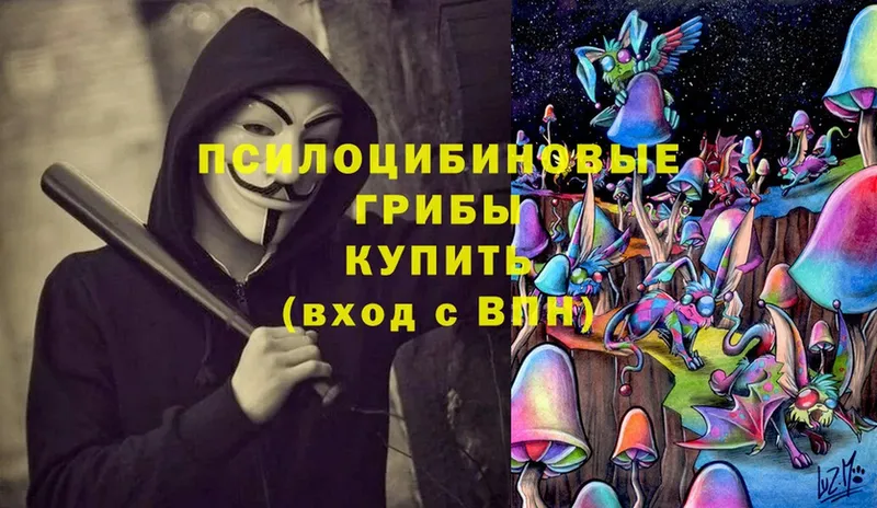 Псилоцибиновые грибы ЛСД  Ковылкино 